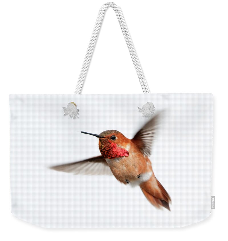 Hanging Weekender Tote Bag featuring the photograph Rufous Hummingbird Male - White by Birdimages