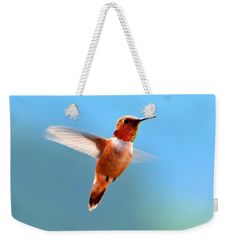 Hummingbird Weekender Tote Bag featuring the photograph Rufous in Flight by Dorrene BrownButterfield