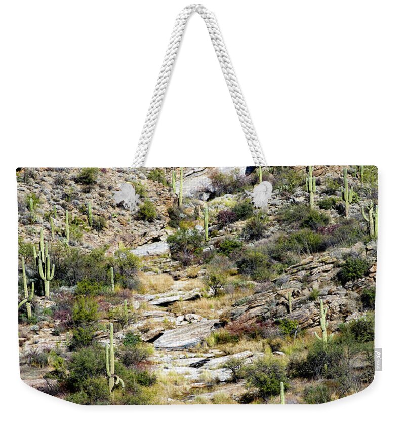 Desert Weekender Tote Bag featuring the photograph Running Dry by Melisa Elliott