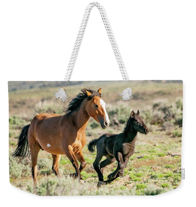Wild Mustangs Weekender Tote Bag featuring the photograph Running Wild Mustangs - Mom and Baby by Judi Dressler