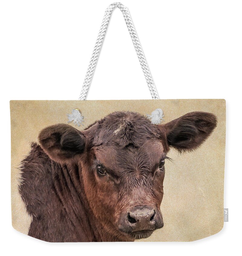 Calf Weekender Tote Bag featuring the photograph Rustic Texas Longhorn Calf Portrait by Jennie Marie Schell