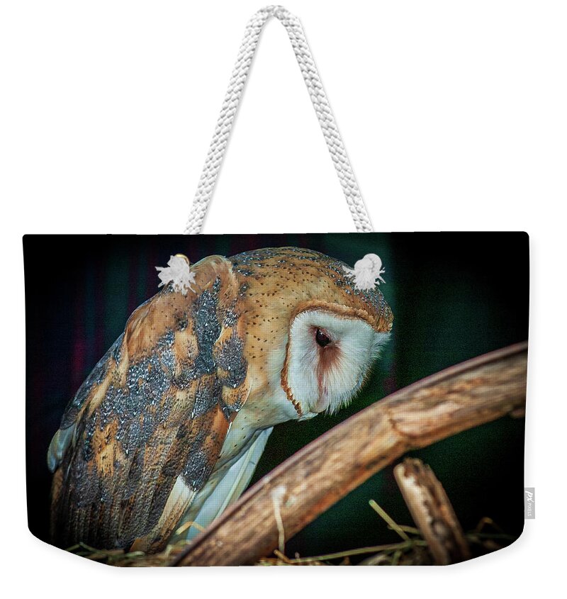 Barn Weekender Tote Bag featuring the photograph Sad Owl in the Barn by Louis Dallara