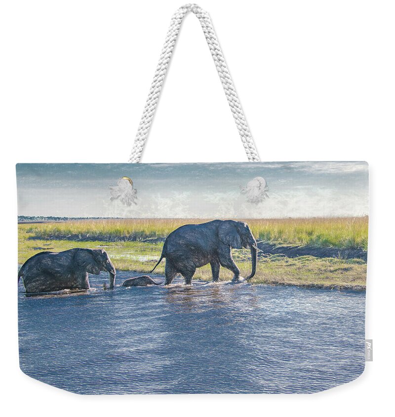 Elephants Weekender Tote Bag featuring the photograph Safe Crossing by Marcy Wielfaert