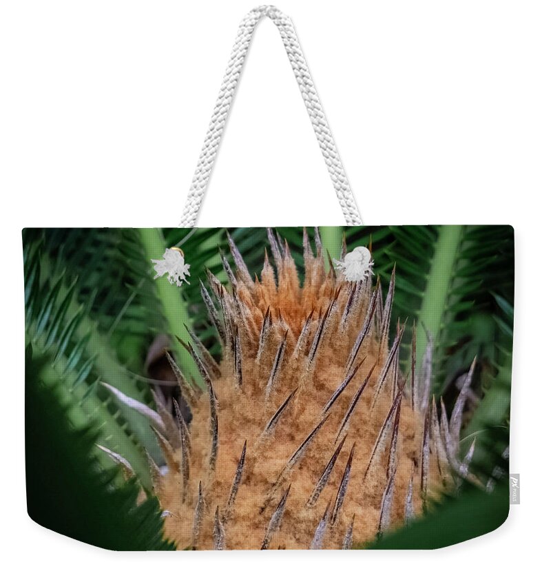 Flowers Weekender Tote Bag featuring the photograph Sago Palm by Silvia Marcoschamer