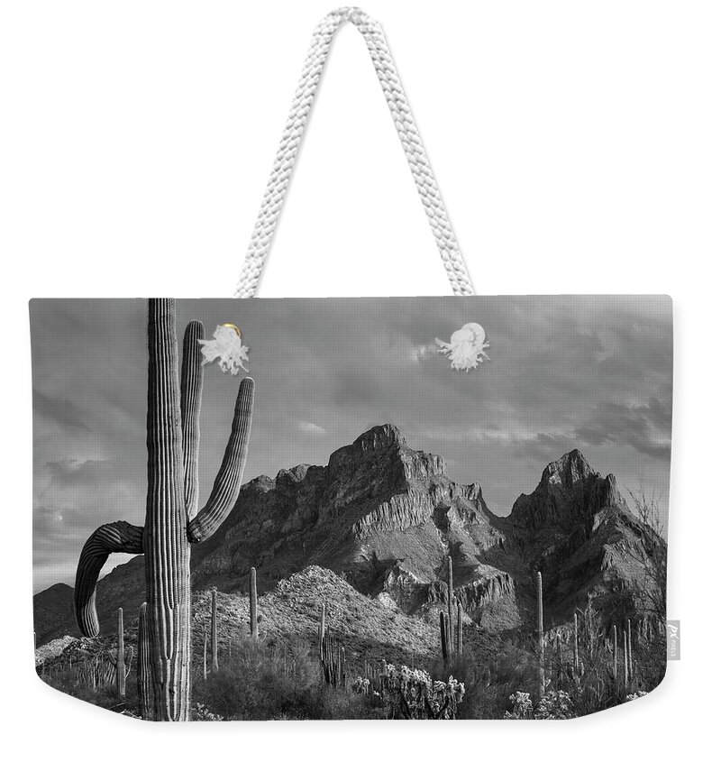 Disk1216 Weekender Tote Bag featuring the photograph Saguaro Cacti, Ajo Mountains by Tim Fitzharris