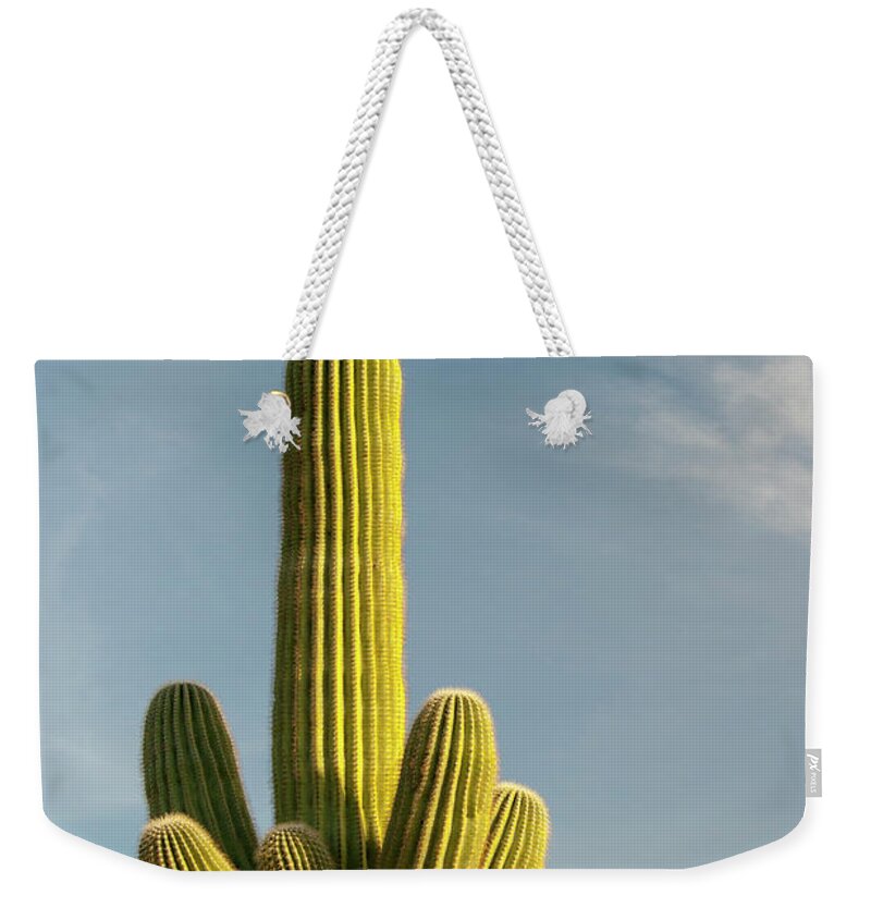 Saguaro Cactus Weekender Tote Bag featuring the photograph Saguaro Cactus by Brian Stablyk