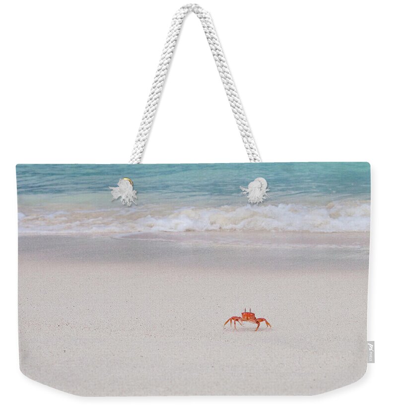 Water's Edge Weekender Tote Bag featuring the photograph Sally Lightfoot Crab, Galapagos Islands by Original Photography