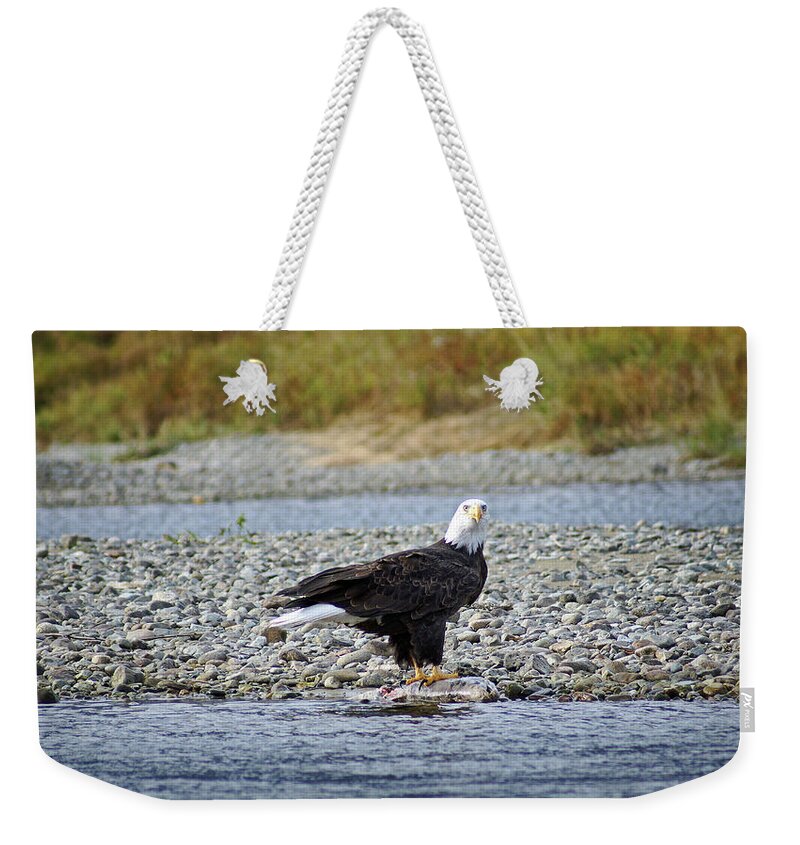 Eagle Weekender Tote Bag featuring the photograph Salmon for Supper by Cameron Wood