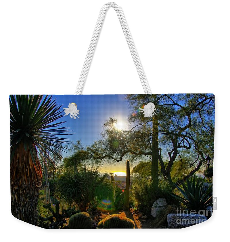 Sun Weekender Tote Bag featuring the photograph San Diego Botanical Garden by Alex Morales