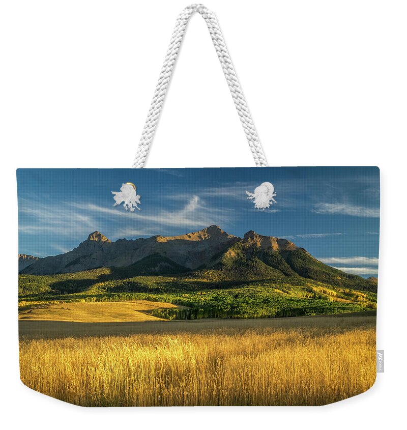Aspens Weekender Tote Bag featuring the photograph San Juan Gold Grass by Johnny Boyd