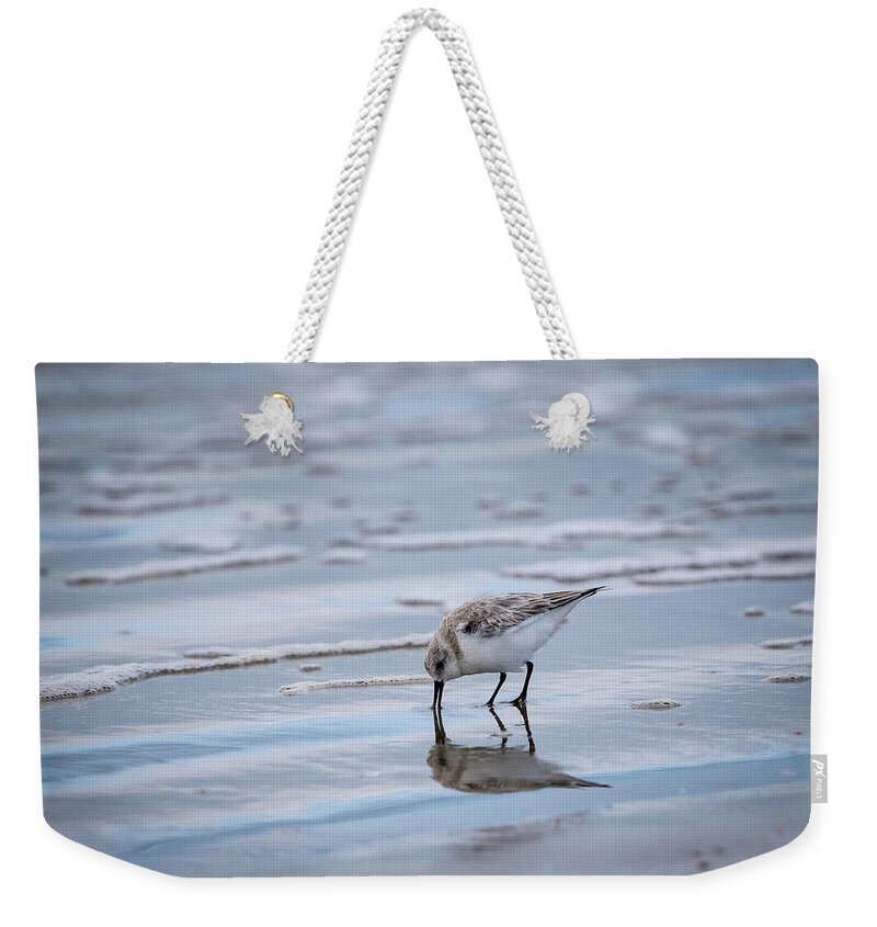 Bird Weekender Tote Bag featuring the photograph Sanderling Foraging by Jeff Phillippi