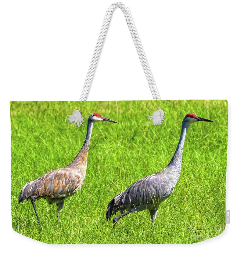 Cranes Weekender Tote Bag featuring the photograph Sandhill Crane Mates by DB Hayes