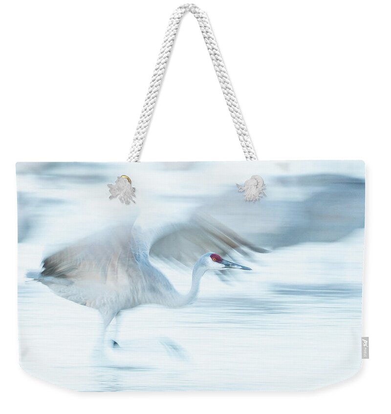 Sandhill Crane Weekender Tote Bag featuring the photograph Sandhill Crane taking off -- Motion Blur by Judi Dressler