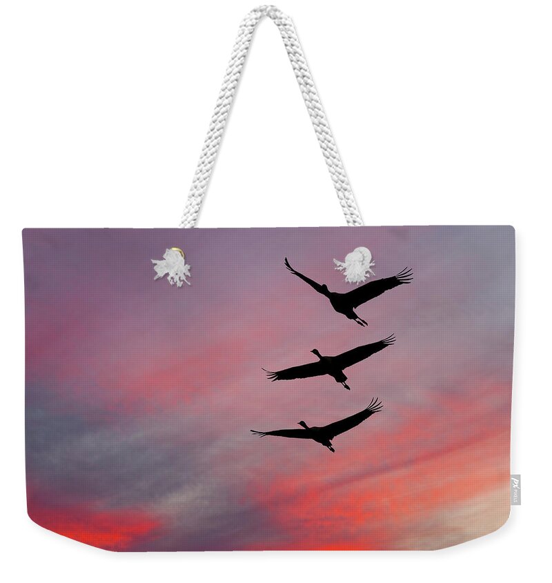 Animal Weekender Tote Bag featuring the photograph Sandhill Cranes at Sunset by Jeff Goulden