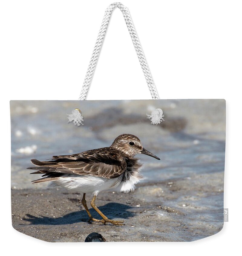 Sandpiper Weekender Tote Bag featuring the photograph Sandpiper at Tidal Pool by William Selander