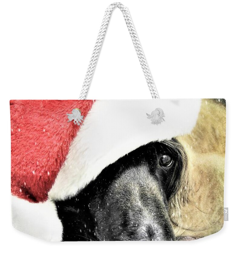 Christmas Weekender Tote Bag featuring the photograph Santa Baby by Diane Chandler