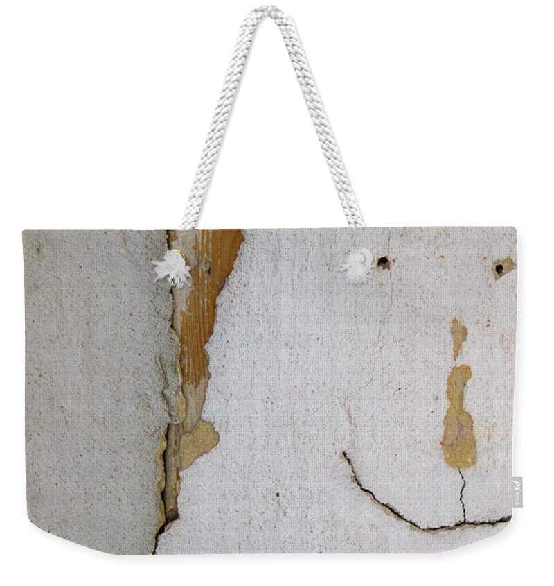 Satisfied Weekender Tote Bag featuring the photograph Satisfied by Attila Meszlenyi
