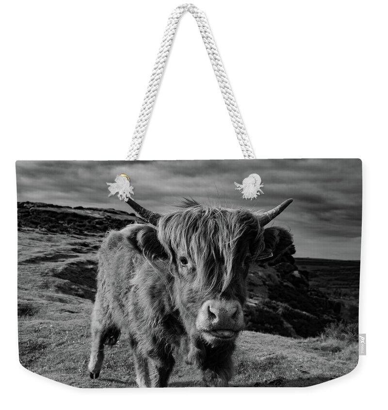 Art Weekender Tote Bag featuring the photograph Saying hello to a Highland Cow at Baslow Edge Black and White by Scott Lyons