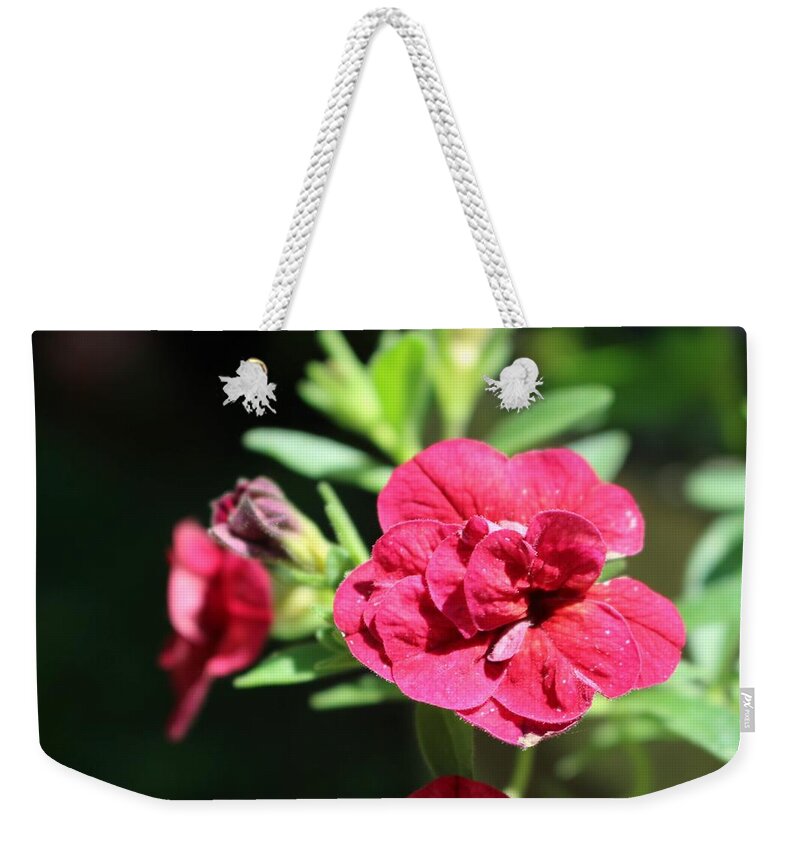 Geranium Weekender Tote Bag featuring the photograph Scarlet Geranium in Cape May by Christopher Lotito
