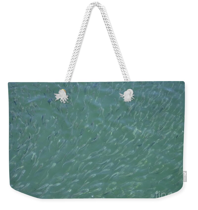 School Of Minnows Weekender Tote Bag featuring the photograph School Of Minnows by Barbra Telfer