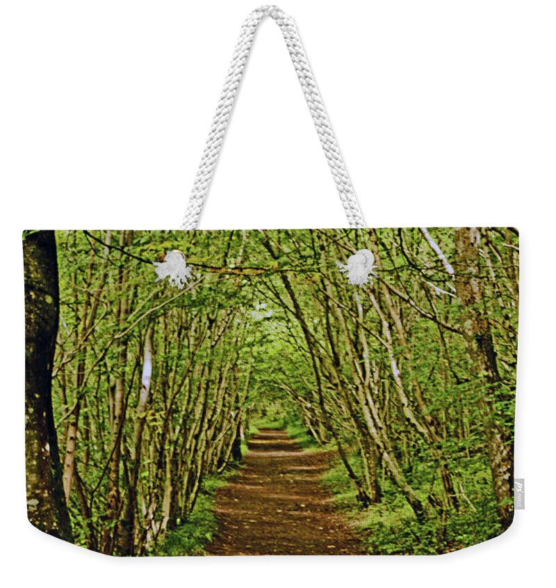 Scotland Weekender Tote Bag featuring the photograph SCOTLAND. Killiecrankie. Path Through The Trees. by Lachlan Main