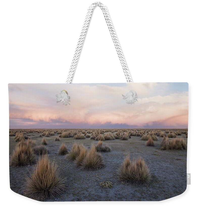 Scenics Weekender Tote Bag featuring the photograph Scrub Vegetation At Sunset On The by Jami Tarris