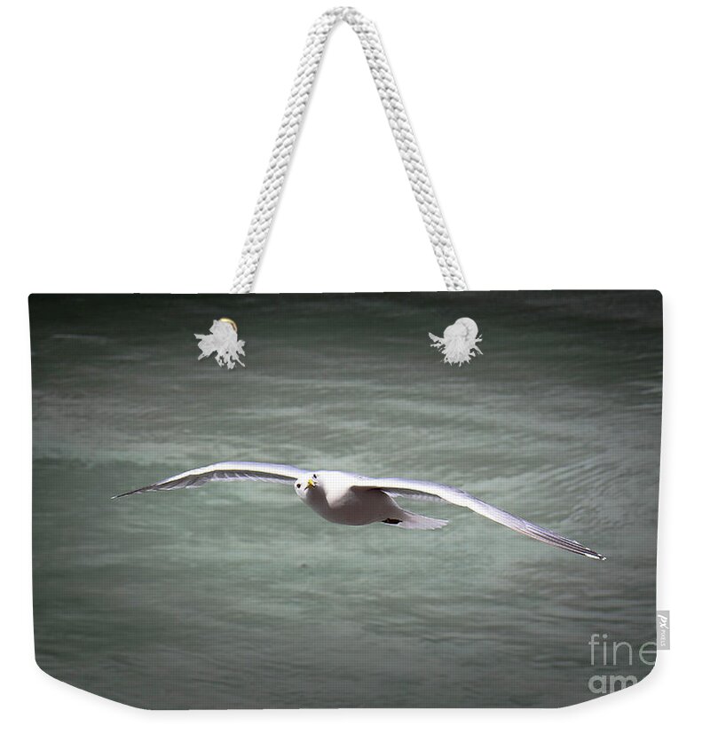 Seabird Weekender Tote Bag featuring the photograph Seabird Over Alaska by Veronica Batterson
