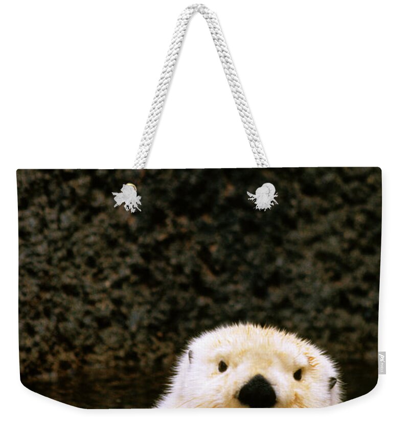 Tranquility Weekender Tote Bag featuring the photograph Sea Otter Enhydra Lutris Floating On by Mark Newman
