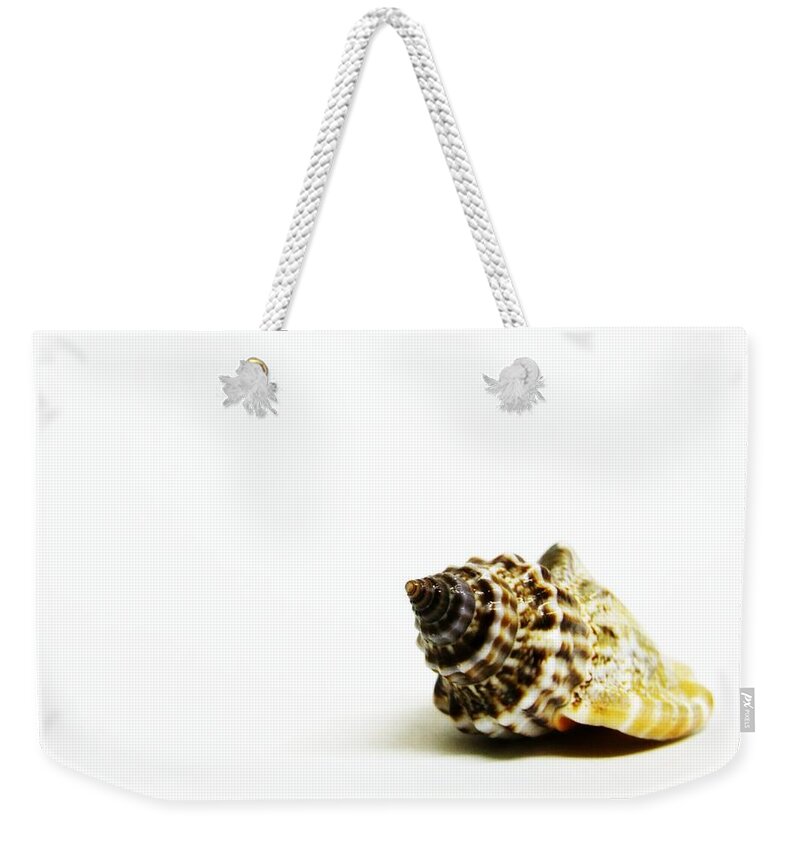 White Background Weekender Tote Bag featuring the photograph Sea Shell by Weeping Willow Photography