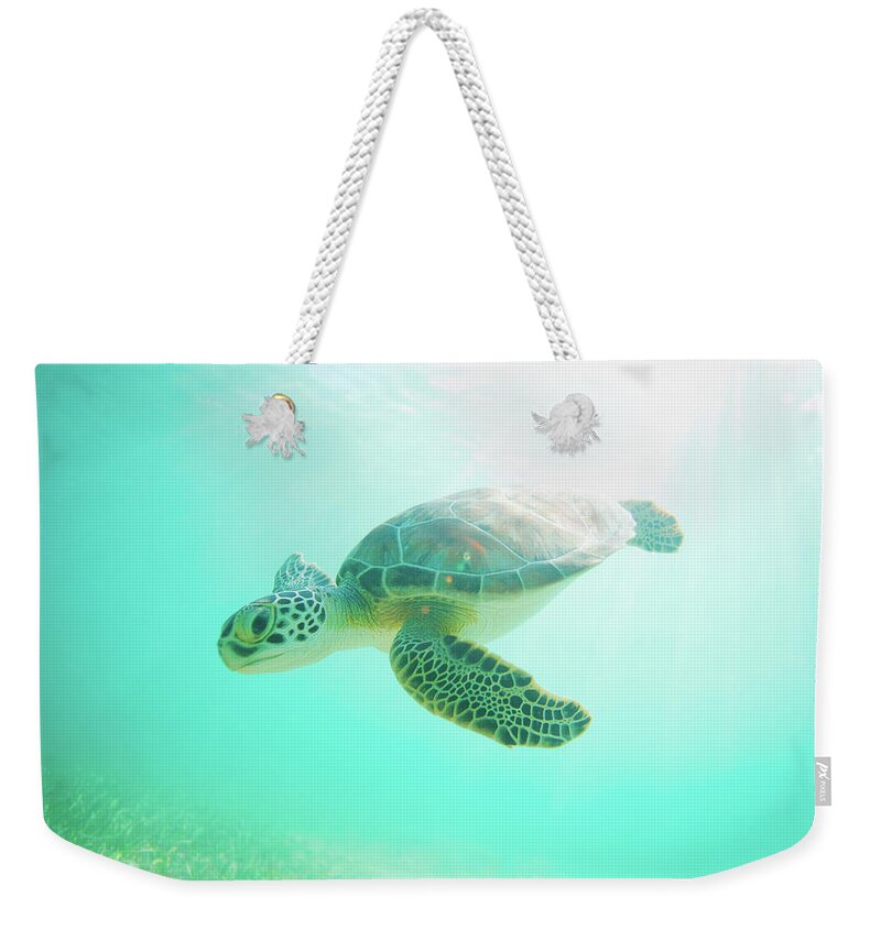 Underwater Weekender Tote Bag featuring the photograph Sea Turtle Baby by M Swiet Productions