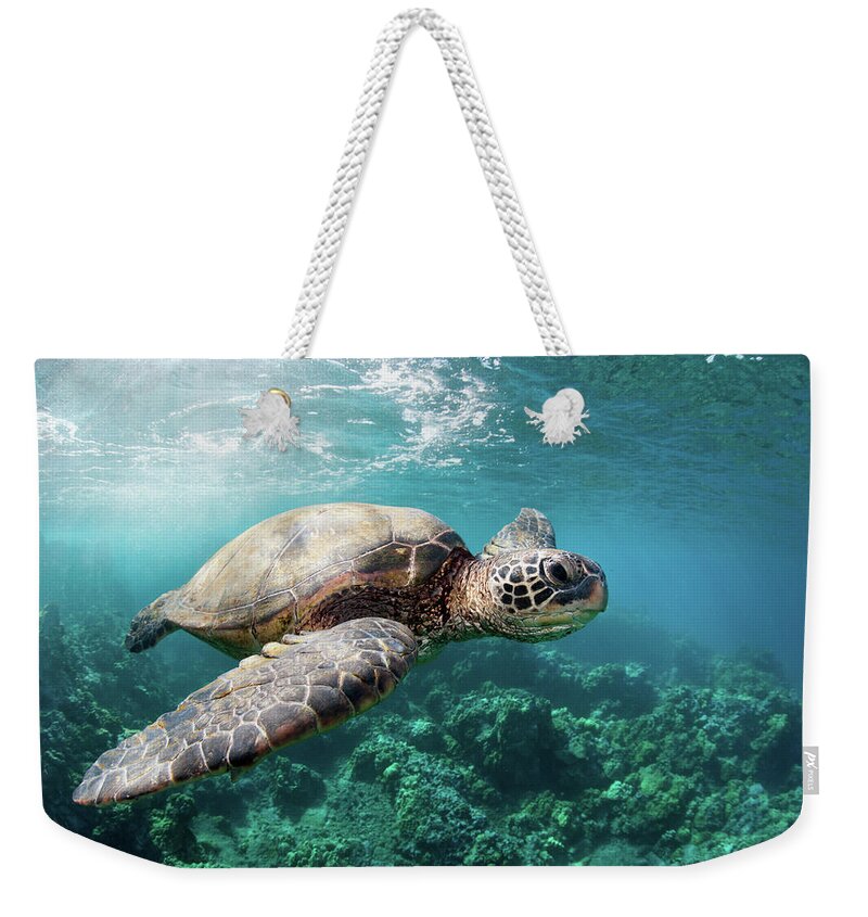 Underwater Weekender Tote Bag featuring the photograph Sea Turtle Reef by M Swiet Productions