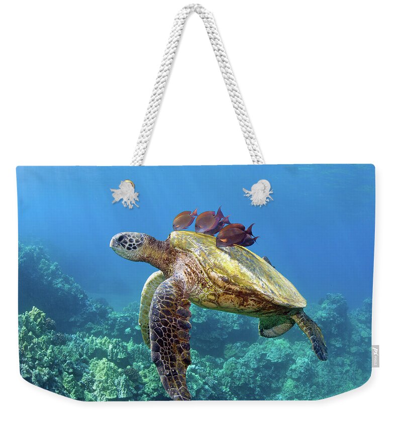 Underwater Weekender Tote Bag featuring the photograph Sea Turtle Underwater by M.m. Sweet