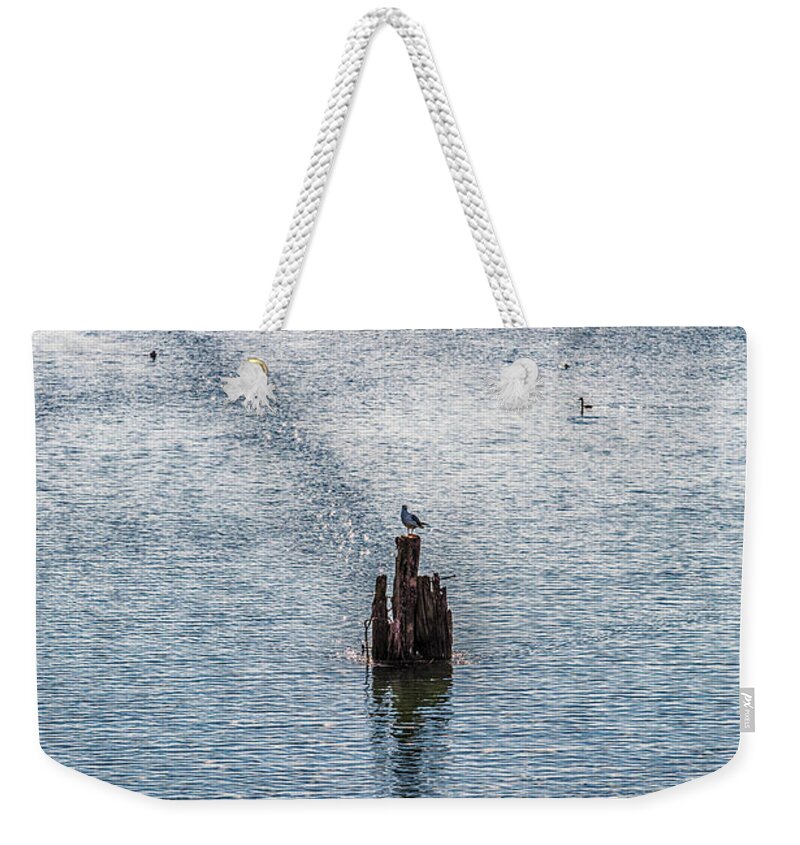 Emilia Weekender Tote Bag featuring the photograph Seagull And Fishing Huts With Netfish by Vivida Photo PC