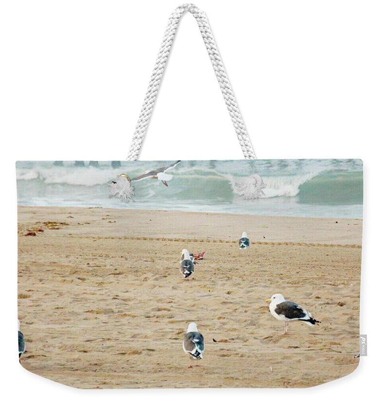 Seagulls Weekender Tote Bag featuring the photograph Seagull Coast by Bill Carson Photography