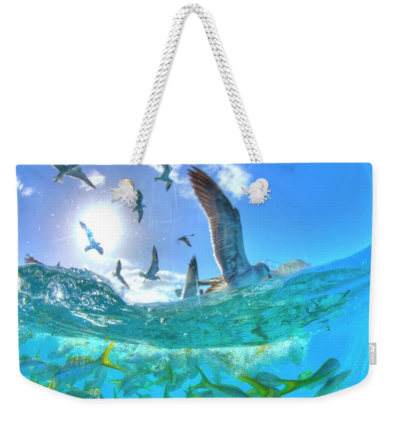 Animal Themes Weekender Tote Bag featuring the photograph Seagulls And Reef Fish by M. Gungen Photography