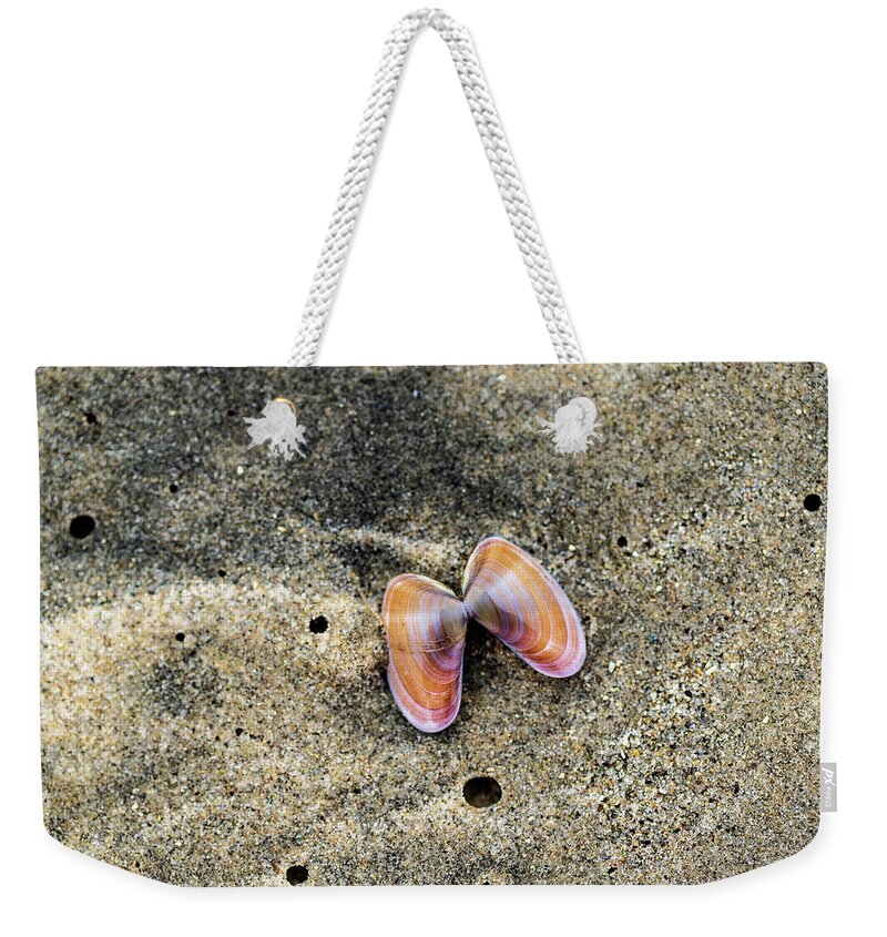 Sea Shell Weekender Tote Bag featuring the photograph Landscape Photography - Beaches by Amelia Pearn