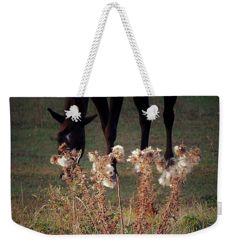 Horse Weekender Tote Bag featuring the photograph Seasons by Wild Thing