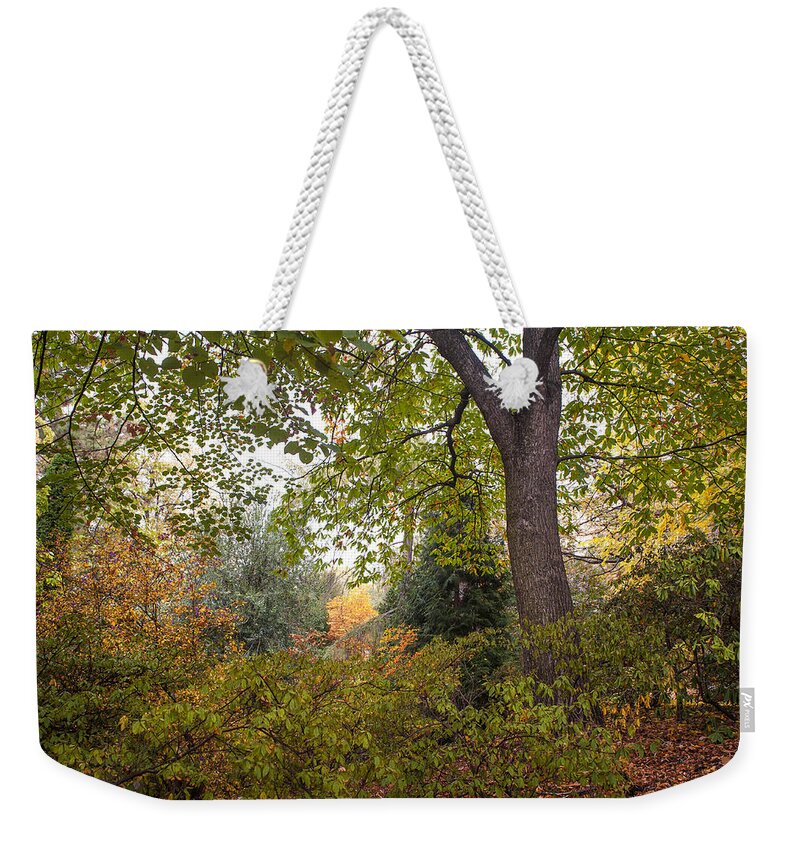 Jenny Rainbow Fine Art Photography Weekender Tote Bag featuring the photograph Secret Garden in Fall Time 11 by Jenny Rainbow