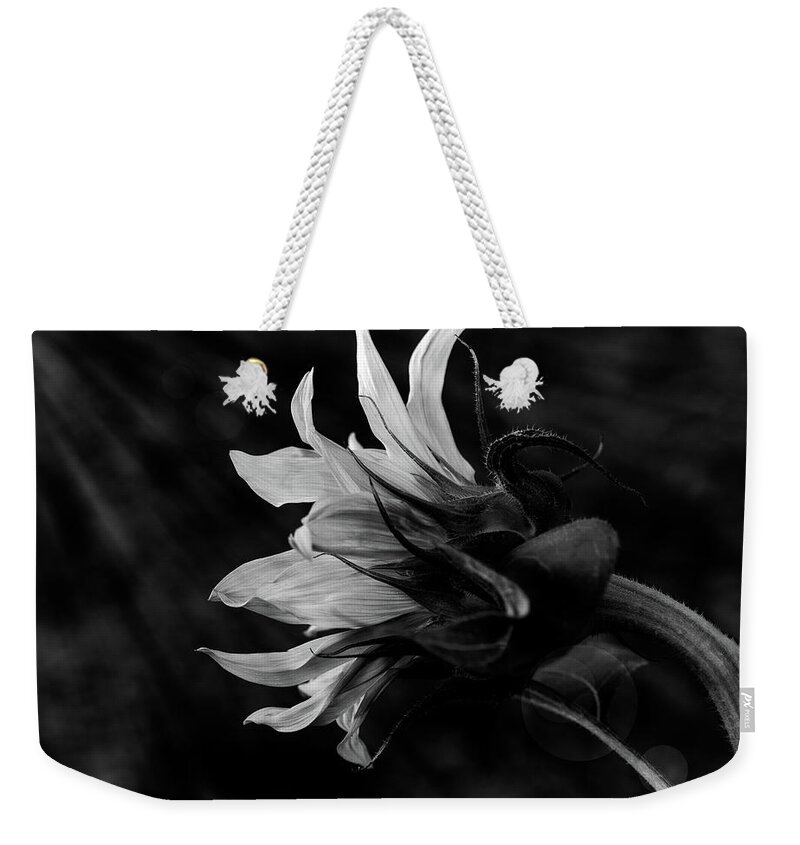 Hope Weekender Tote Bag featuring the photograph Seeking that light by Alessandra RC
