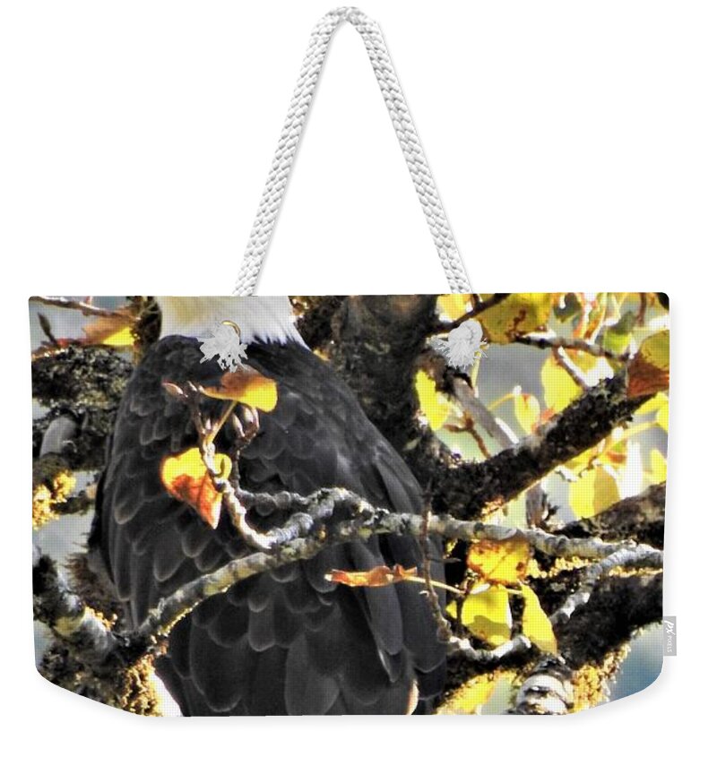 Eagle Weekender Tote Bag featuring the photograph Sentry by Sandra Peery