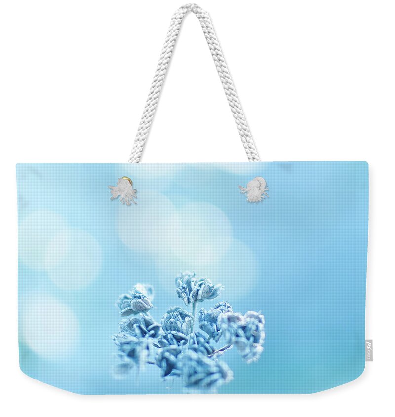 Outdoors Weekender Tote Bag featuring the photograph September Frost by Alexandre Fp