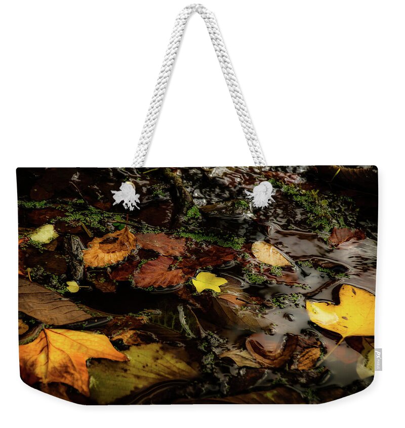Tree Weekender Tote Bag featuring the photograph Serenity upon an Autumn Pond by Christopher Maxum