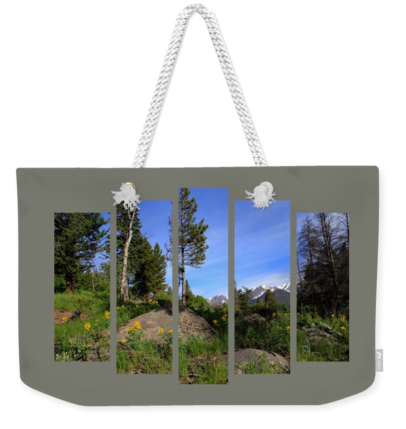 Set 51 Weekender Tote Bag featuring the photograph Set 51 by Shane Bechler