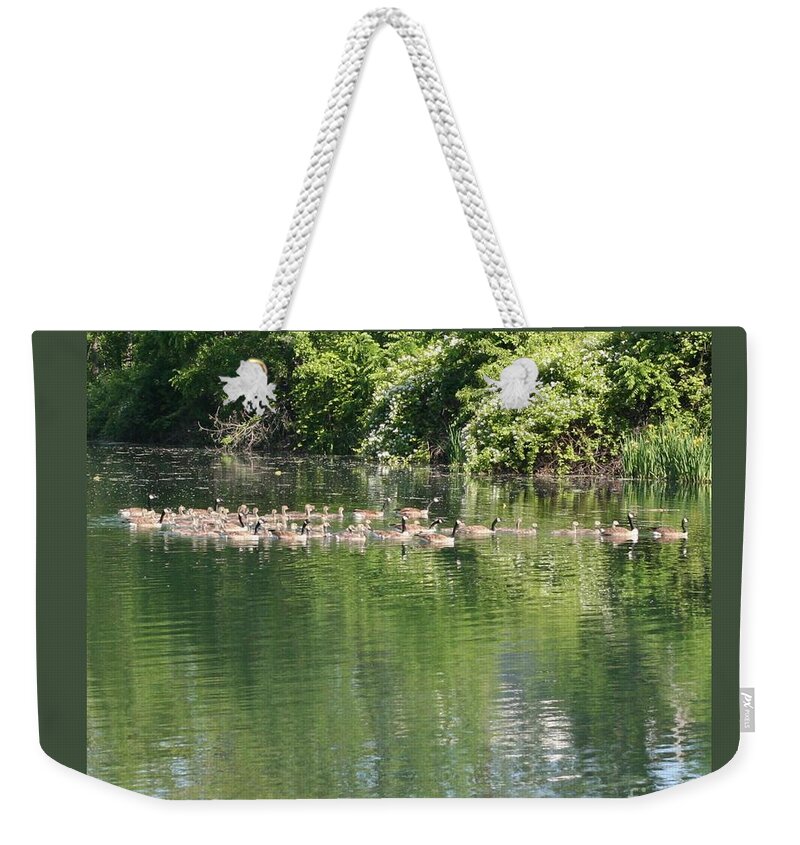 Goose Weekender Tote Bag featuring the photograph Seven Goose Families by Patricia Overmoyer