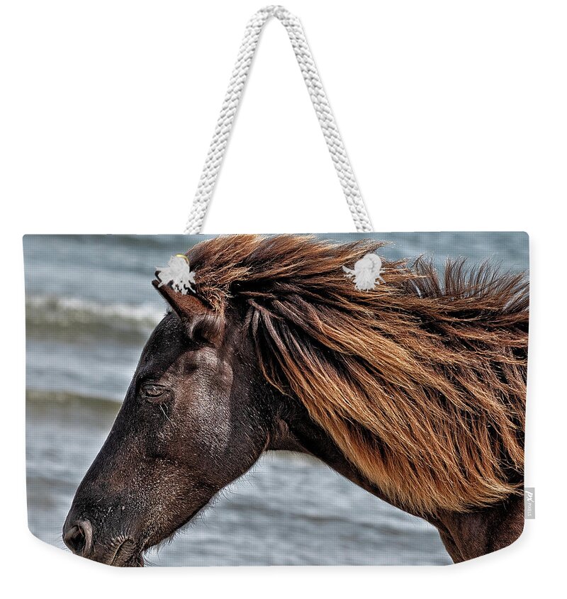 Horse Weekender Tote Bag featuring the photograph Shackleford Stallion by Fon Denton