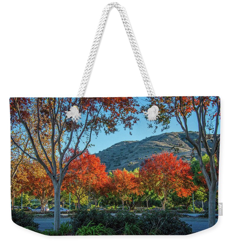 Simi Valley Weekender Tote Bag featuring the photograph Shades of Fall at the Metrolink by Lynn Bauer