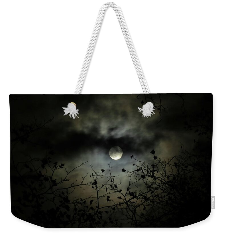 Night Sky Weekender Tote Bag featuring the photograph Shadow Moon by Linda Stern