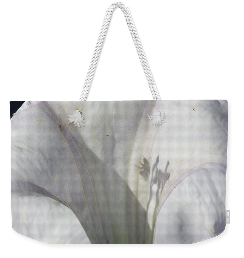 Datura Weekender Tote Bag featuring the photograph Shadows and the Flower by Jonathan Thompson