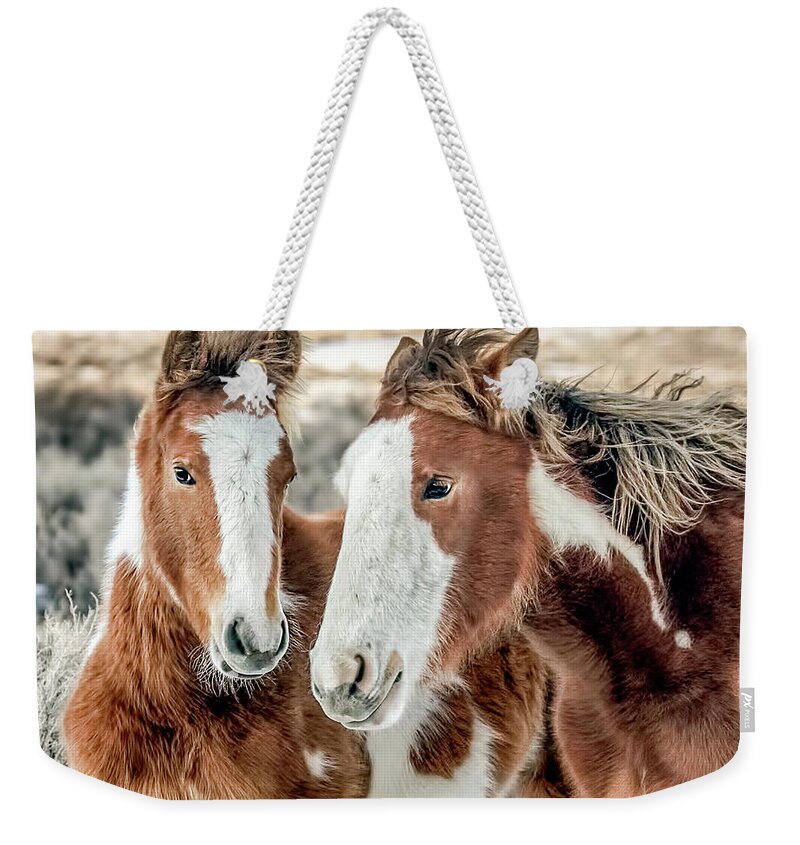 Michelangelo Weekender Tote Bag featuring the photograph Shaggy Winter Mustangs by Dawn Key