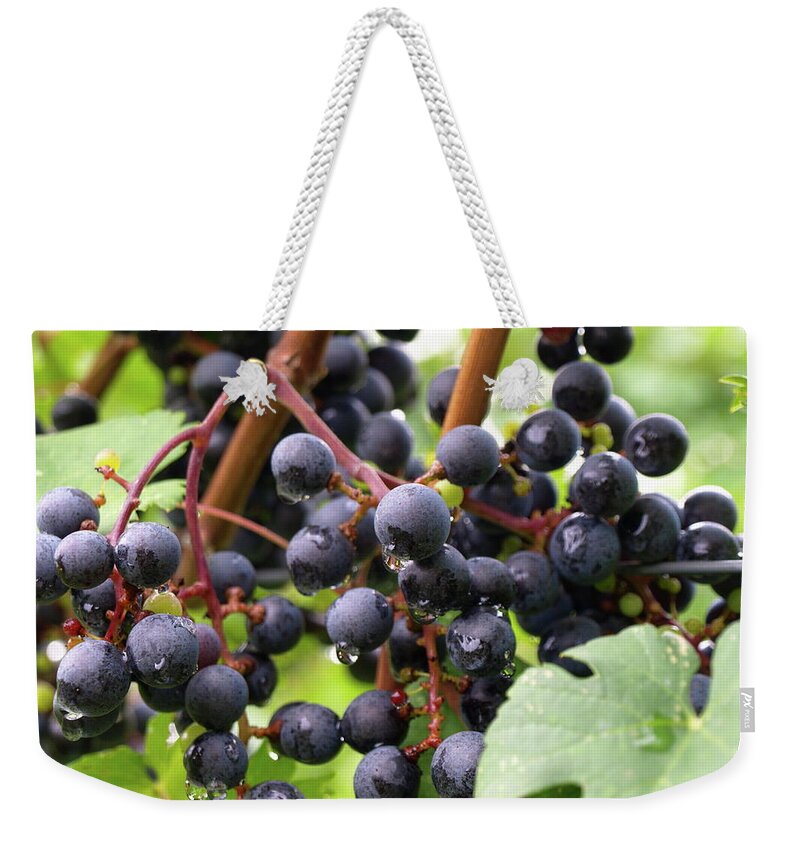 Grapes Weekender Tote Bag featuring the photograph Shalestone - 15 by Jeffrey Peterson